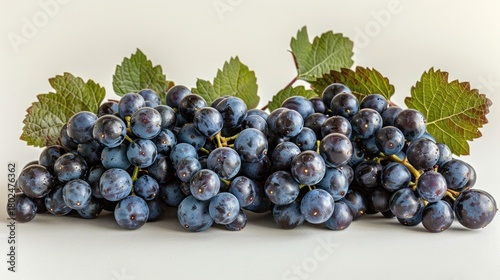 Lush bunches of dark grapes with vibrant green leaves on a soft background