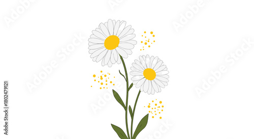 Two delicate white daisies with yellow centers and green stems are depicted against a white background with scattered yellow dots.