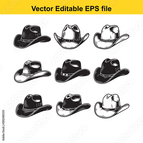 Collection of nine cowboy hats in various styles, isolated on a
