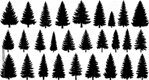 Pine tree silhouettes. Evergreen forest firs and spruces black shapes, wild nature trees templates. Vector illustration woodland trees set on white background See Less
