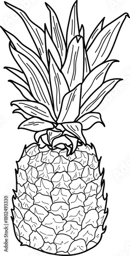 Coloring page with ripe pineapple fruit isolated on white background	