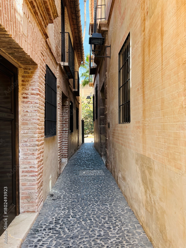 Obraz premium One of the neatly renovated narrow side streets in the old town center. Malaga, Spain, 2022.