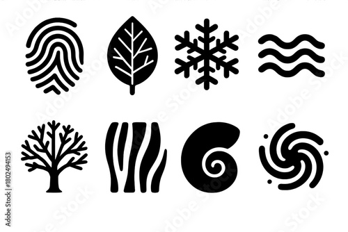 Nature Pattern Icons. Solid style icons of natural pattern sources: Fingerprint Spiral, Leaf Vein Network, Snowflake Geometry,