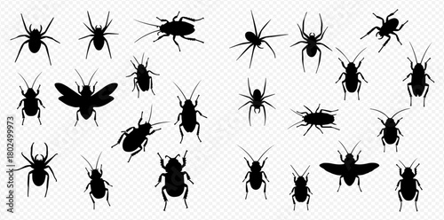 Silhouettes of various insects and arachnids on a transparent background.