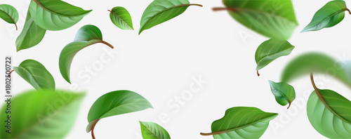 Vibrant green leaves falling on white background