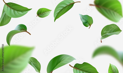 Green leaves floating in air on white background