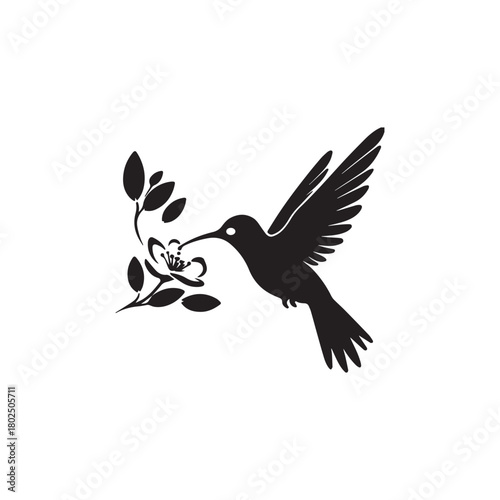 eagle bird of prey vector illustration flying silhouette