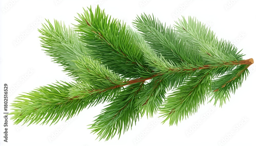 Obraz premium Realistic Christmas Tree With Green Fir Spruce Branch On White Background. Spruce Branch, Green Fir - A Lifelike Representation Of The Holiday Season.