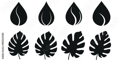Black silhouette of tropical leaves and water drops isolated on a white background