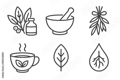 Holistic Healing Icons. Line style icons of holistic healing: herbal medicine, mortar and pestle icon, dried herbs bunch, herbal