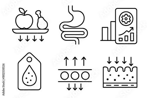 Nutrition Science Icons. Line style icons of nutrition science: food digestion, digestive tract icon, enzyme breakdown chart,