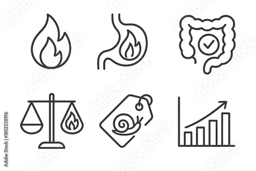 Ayurveda Digestion Icons. Line style icons of Ayurveda: digestion fire (Agni), digestive flame icon, healthy gut symbol, Agni