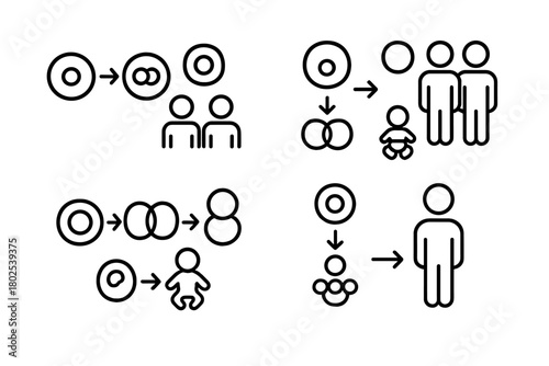 Cloning Process Icons. Line style icons of cloning technology: cloning timeline, cell-to-clone stages, zygote to organism,