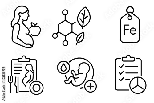 Prenatal Nutrition Icons. Line style icons of nutrition science: prenatal and pregnancy nutrition, folic acid icon, iron