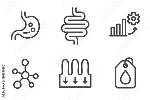 Nutrition Science Icons. Line style icons of nutrition science: food digestion, digestive tract icon, enzyme breakdown chart,