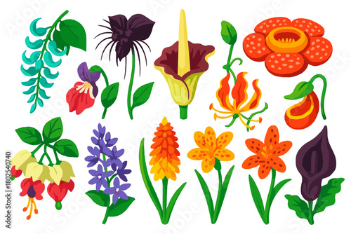 Exotic Flower Icons. Isometric vector illustration set Various Flowers: exotic jade vine, bat flower, corpse flower, rafflesia,