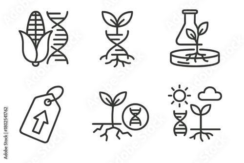 Genetic Engineering Icons. Line style icons of genetic engineering: agricultural biotechnology, crop genome icon, plant tissue