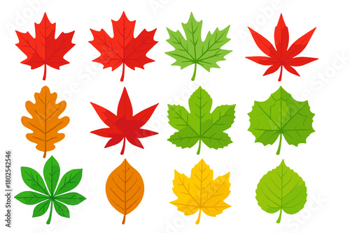 Colorful Maple Leaves. Isometric vector illustration set Tropical and Decorative Leaves: red maple leaf, sugar maple leaf, silver