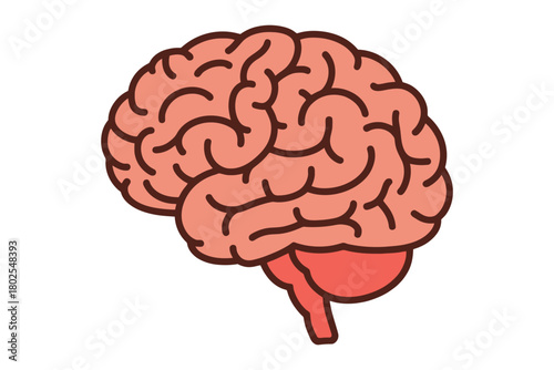 A simplified illustration of the human brain is depicted against a white background.