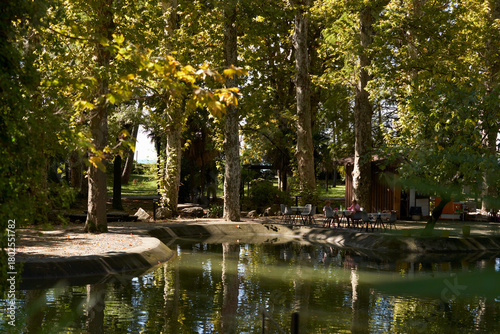 A summer cafe on the shore of a pond in a picturesque subtropical park. Trees are reflected in the water. Fallen leaves lie on the ground. Autumn.