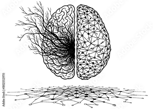  Conceptual vector art of a split brain. Left side is an organic tree root network, right side is a digital low-poly plexus. AI vs. human mind.