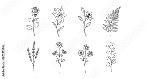 Elegant botanical line art of flowers and leaves for modern design