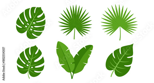 Tropical foliage collection: monstera, palm, and banana leaves in flat style