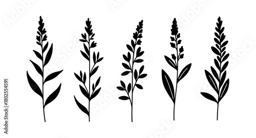 Collection of elegant floral silhouettes in minimalist design