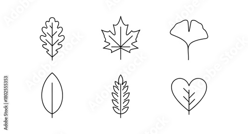 Minimalist leaf outline collection: oak, maple, ginkgo, fir, heart, tropical line art design