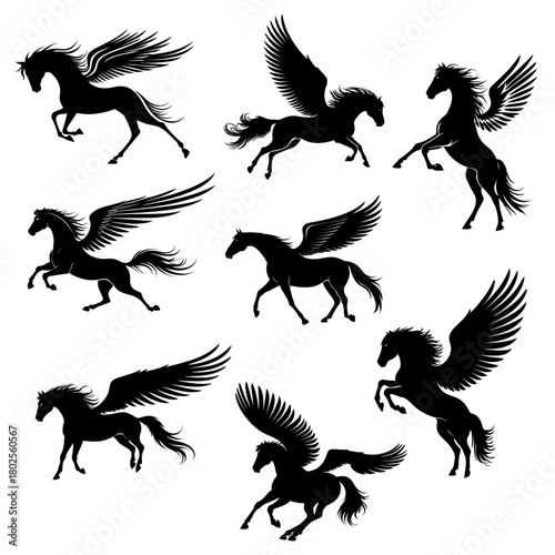 Winged horse silhouettes pegasus collection standing and flying poses for fantasy book covers magical branding and mythological art