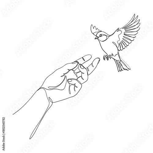 Delicate line art drawing of a hand releasing a bird into the sky