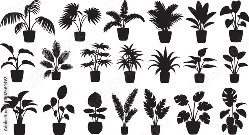 Indoor plants collection in silhouette style various types of plants
