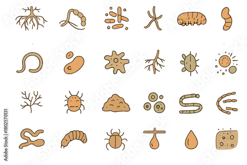 Soil microbes and decomposer organism icons in brown gradient