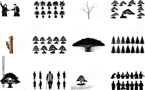 Diverse collection of trees and people bonsai palm