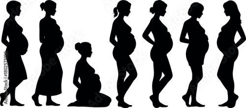 Pregnancy Stages Silhouette Collection Depicting the Journey of Motherhood
