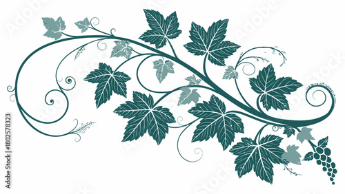 Elegant grape vine foliage flourishes, perfect for winery branding, sophisticated invitations, and rustic wedding decor with timeless natural beauty