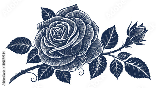 Elegant engraved rose with leaves and bud, perfect for vintage designs, wedding invitations, or romantic themes with a classic, timeless aesthetic detail
