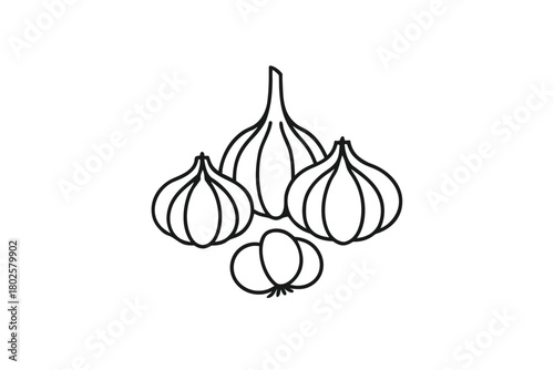 Outline illustration displays various sizes of fresh garlic bulbs against a plain backdrop