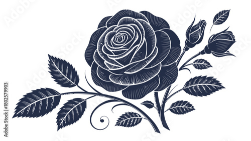 Elegant dark rose with buds and leaves, perfect for sophisticated designs, invitations, or branding, offering a touch of classic beauty and timeless charm