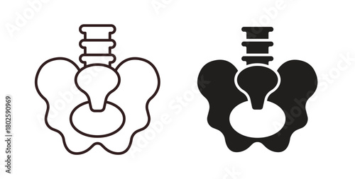 Pelvic area icon concept. Glyph vector illustration isolated. Simple solid style.