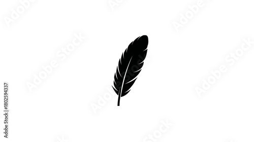Elegant black feather silhouette on a clean white background. Simple and minimalist design element representing lightness and freedom.