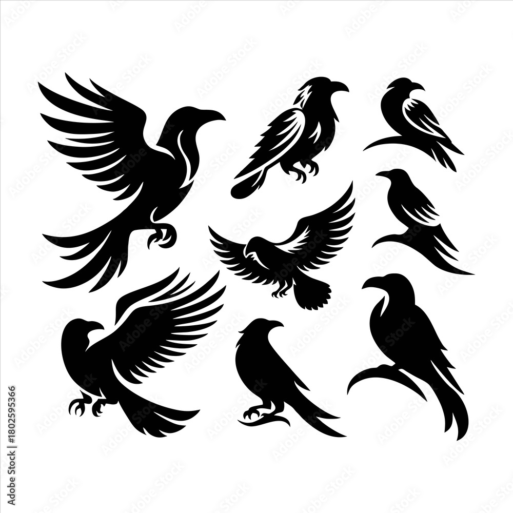 Fototapeta premium Collection of Nine Black Raven and Eagle Silhouettes in Dynamic Flying Poses.