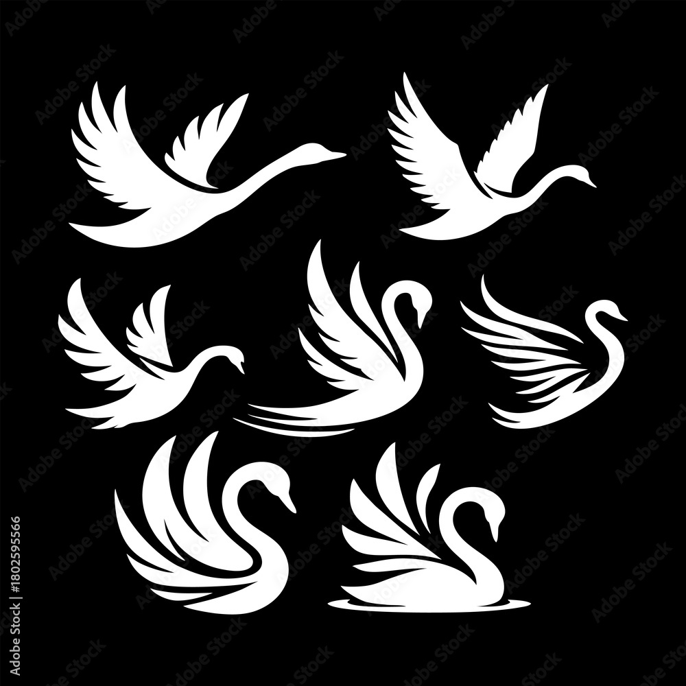 Obraz premium Set of Elegant White Swan Silhouettes Logo Design on Black Background