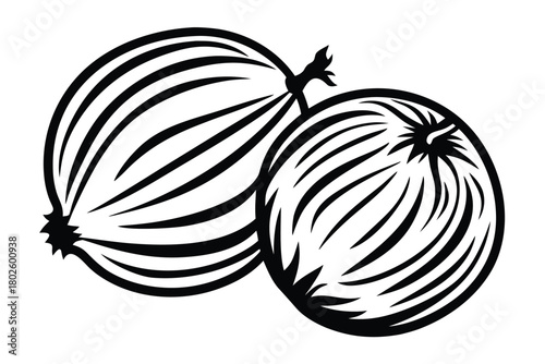 Two simple black shallots are positioned closely together in stark minimalism