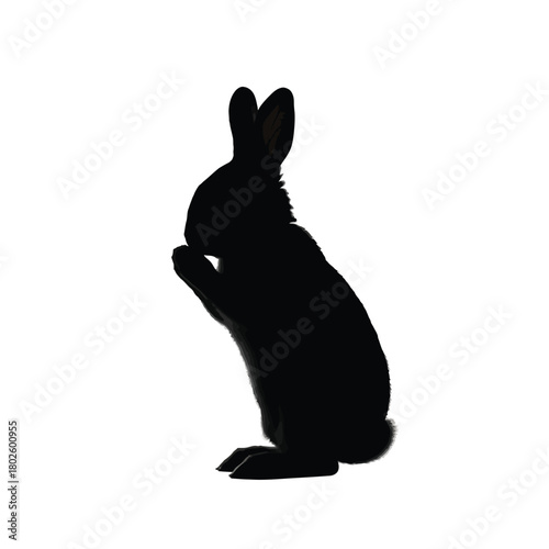 Black silhouette of a rabbit standing on hind legs silhouette