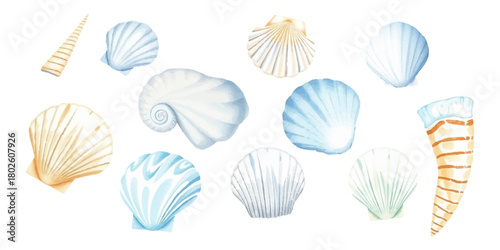 Watercolor seashells of various shapes and sizes, soft pastel tones, delicate texture, hand painted, natural marine details, isolated on white background, vector