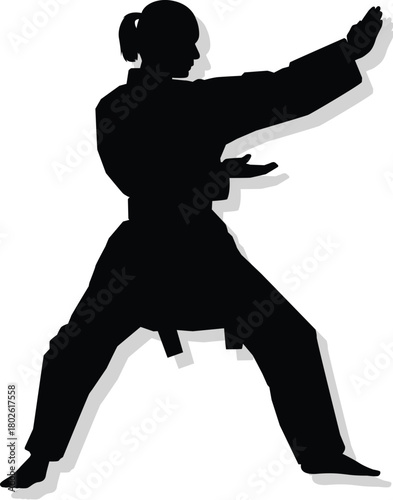 karate silhouette vector