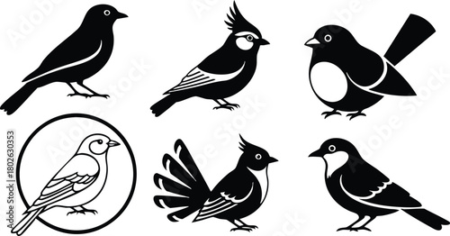 Stylized black and white bird silhouettes vector illustration with various songbird shapes and feather details 