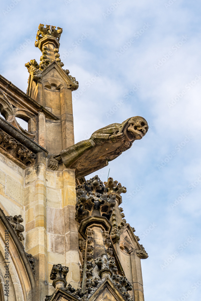 Fototapeta premium A gargoyle-like element of a Gothic building, looking down at the viewer. The photo is taken quite close-up The church is located in Munster, Germany
