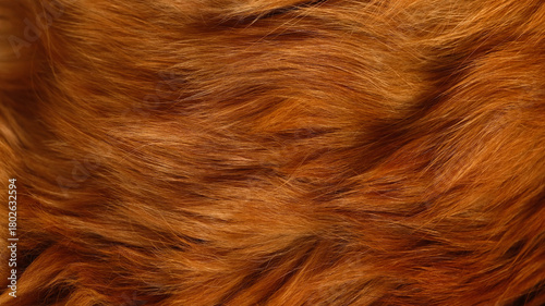 A background of a red Maine Coon cat fur. Close up.